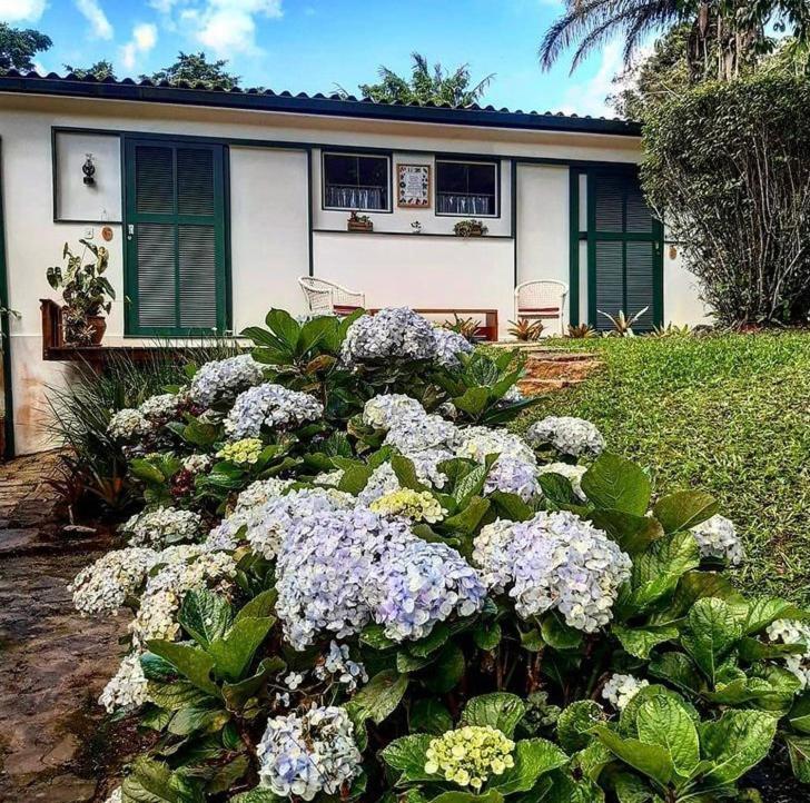 Pinheiros Do Rocio Hotel Petrópolis Exterior foto
